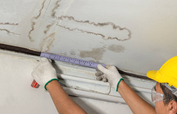 Reliable Mold Remediation contractor in Bentley, MI by Local Water Damage Repair
